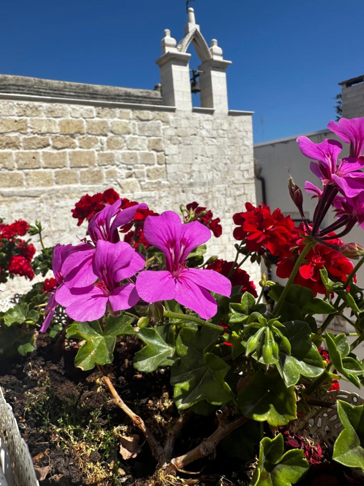 B&B Sigò Trani Exterior foto